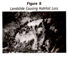 Landslide Causing Habitat Loss