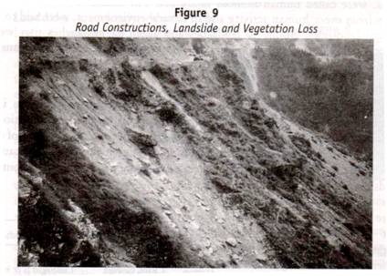 Road Construction, Landslide and Vegetation Loss