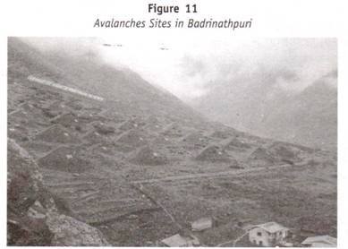 Avalanches Sites in Badrinathpuri