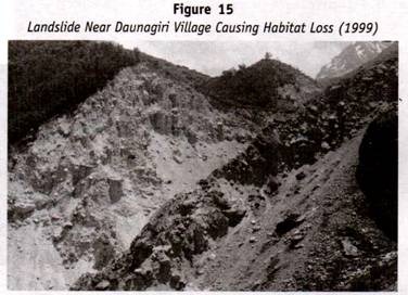 Landslides near Daunagiri Village causing Habitat Loss (1999)