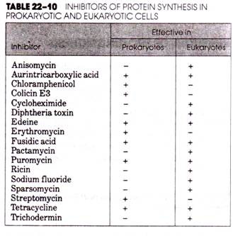 Inhibitors of Protein Synthesis in Prokaryotic and Eukaryotic Cells