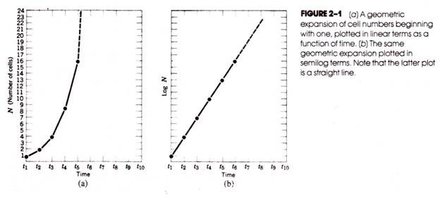 (a) A geometric expansion of cell numbers beginning with one, plotted in linear terms as a function of times. (b) The same geometric expansion plotted in semilog terms