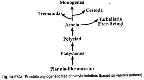 The Experiment of A.D Hershey and M.W. Chase. Parts shown in color represent portions of teh virus that have been labeled with radioactive isotope