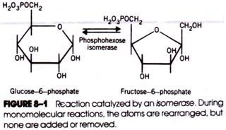 Reaction catalyzed by an isomerase