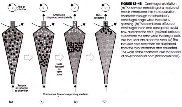 Centrifugal Elutriation