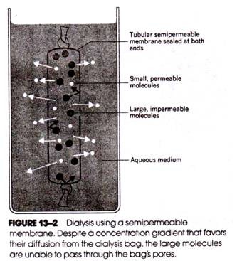 Dialysis using a Semipermeable Membrane