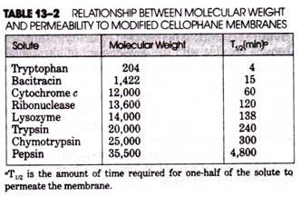 Relationship between Molecular Weight and Permeability to modified Cellophane Membranes