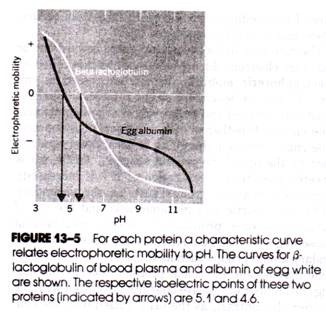 For each Protein a Characteristic Curve relates Electrophoretic Mobility to pH