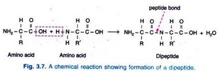 A Comparison of sectioning and fracturing tissue