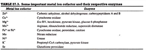 Essential Features of Isoelectric Focusing