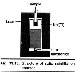 Chain elongation in eukaryotic cells