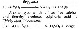 Countercurrent Distribution of 128 Molecules of a Hypothetical Solute having a P Value of 1.0 in a Train of Seven Chambers 