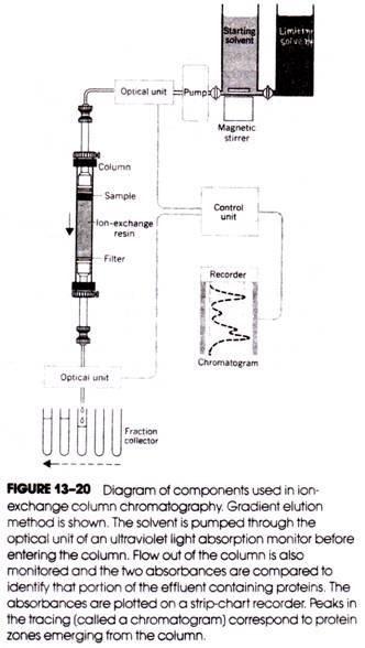 Diagram of Components Used in Ion-Exchange Column Chromatography