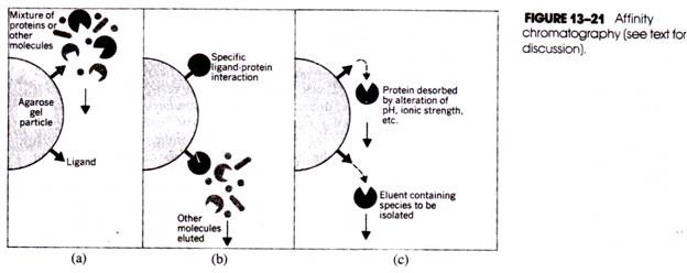 Affinity Chromatography