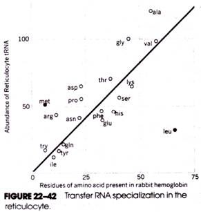 Transfer RNA specialization in the reticulocyte