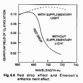 Metric Measurement of Size