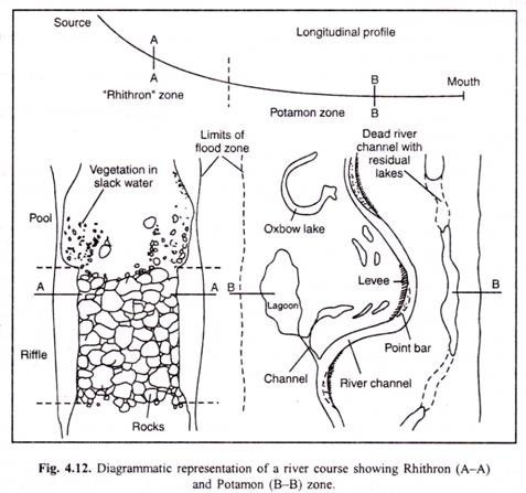 Diagrammatic repersention of a river cource showing Rhithron and Potamon