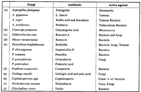 Ambient air quality status in some cities/towns of india during 1995