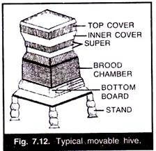 Typical Movable Hive