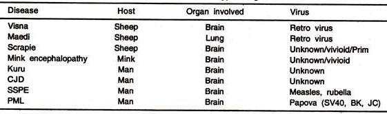 B Chanin of Normal Haemoglobin and Sickle Shaped Haemoglobin Showing different in the Arrangement of Amino Acids