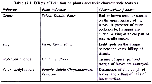 Effect of Pollution on Plants and their Characteristic Features 