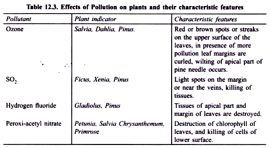 Effects of Pollution on Plants and their Characteristic Features 