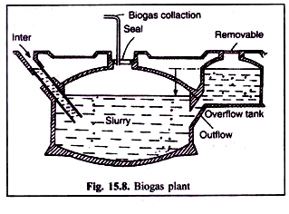 Biogas Plant