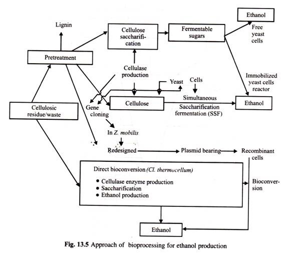 Approach of Bioprocessing for Ethanol Production