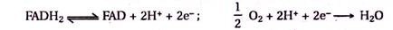 Biochemical/Chemical Structural Unit Design of DNA