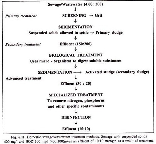 Effect of Ammonium Acetate and Glucose Concentration on Cell Growth and Gluconic Acid Yield 