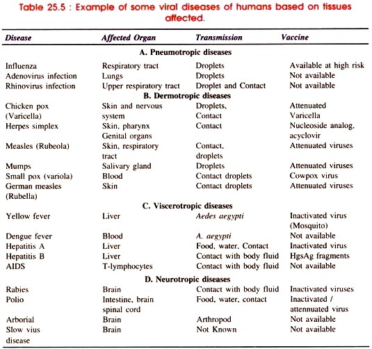 Oxygen Transfer Rates in the 3-8-cm Diameter Fermentor at 0.95 Atmospheric Pressure