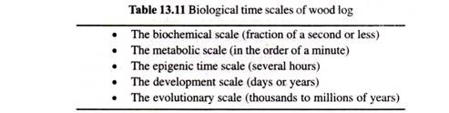 Biological Time Scales of Wood Log