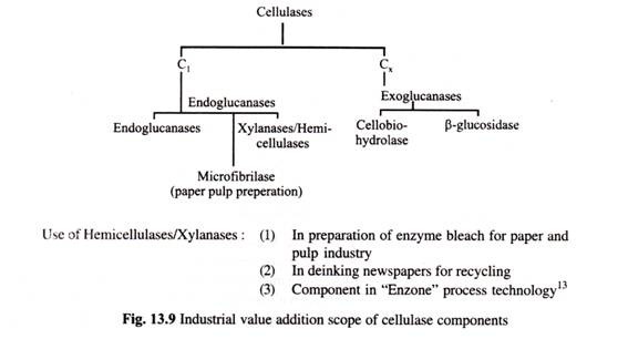 Industrial Value Addition Scope of Cellulase Components