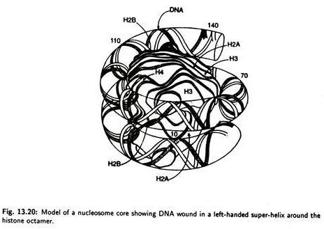 Temporal course of events