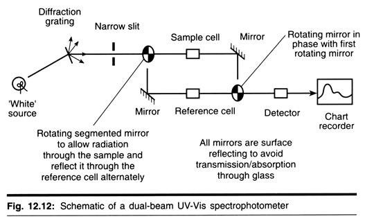 Cell Amplification