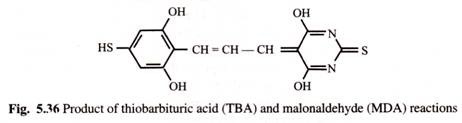 Product of Thiobarbituric Acid (TBA) and Malonaldehyde (MDA) Reactions