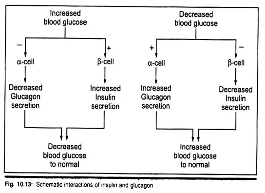  Enzymes and Sources Available Commercially for Isolation of Plants Protoplast