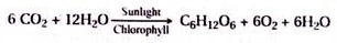 Structure of Four Chlorophylls