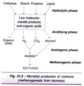 Plant Regeneration through Protoplast Culture