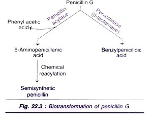 Different Stages of Protoplast Isolation and Regeneration of Plantlets after Fusion