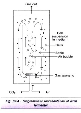 Principle behind MALDI-TOF Mass Spectrometry