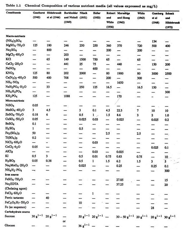 RFLP analysis Based on PCR