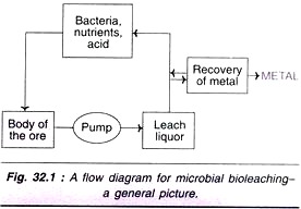 Microbial Bioleaching