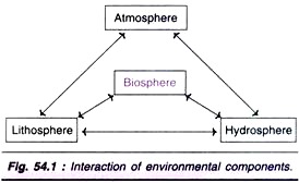 Interaction of Environmental Components