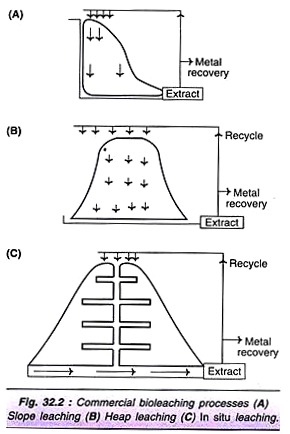 Commercial Bioleaching Processes