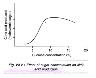 Effect of Sugar Concentration on Citric Acid Production