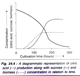 Citric Acid