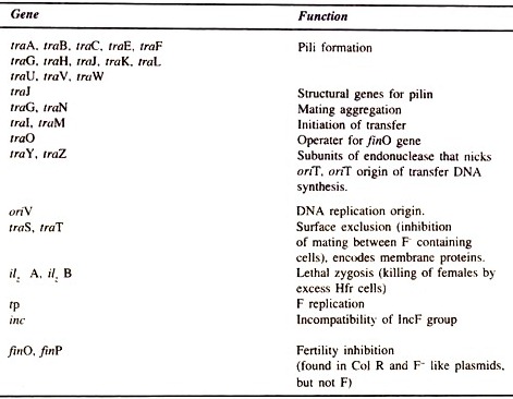 Synthesis of New DNA Fragements