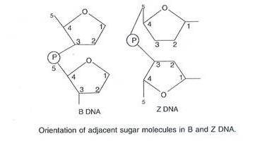 Required metabolite 