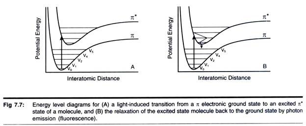 Energy Level Diagrams